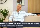 Karaciğer Hastalıkları